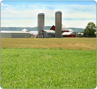 Farm Insurance, Commercial Insurance in Cannon Falls, MN